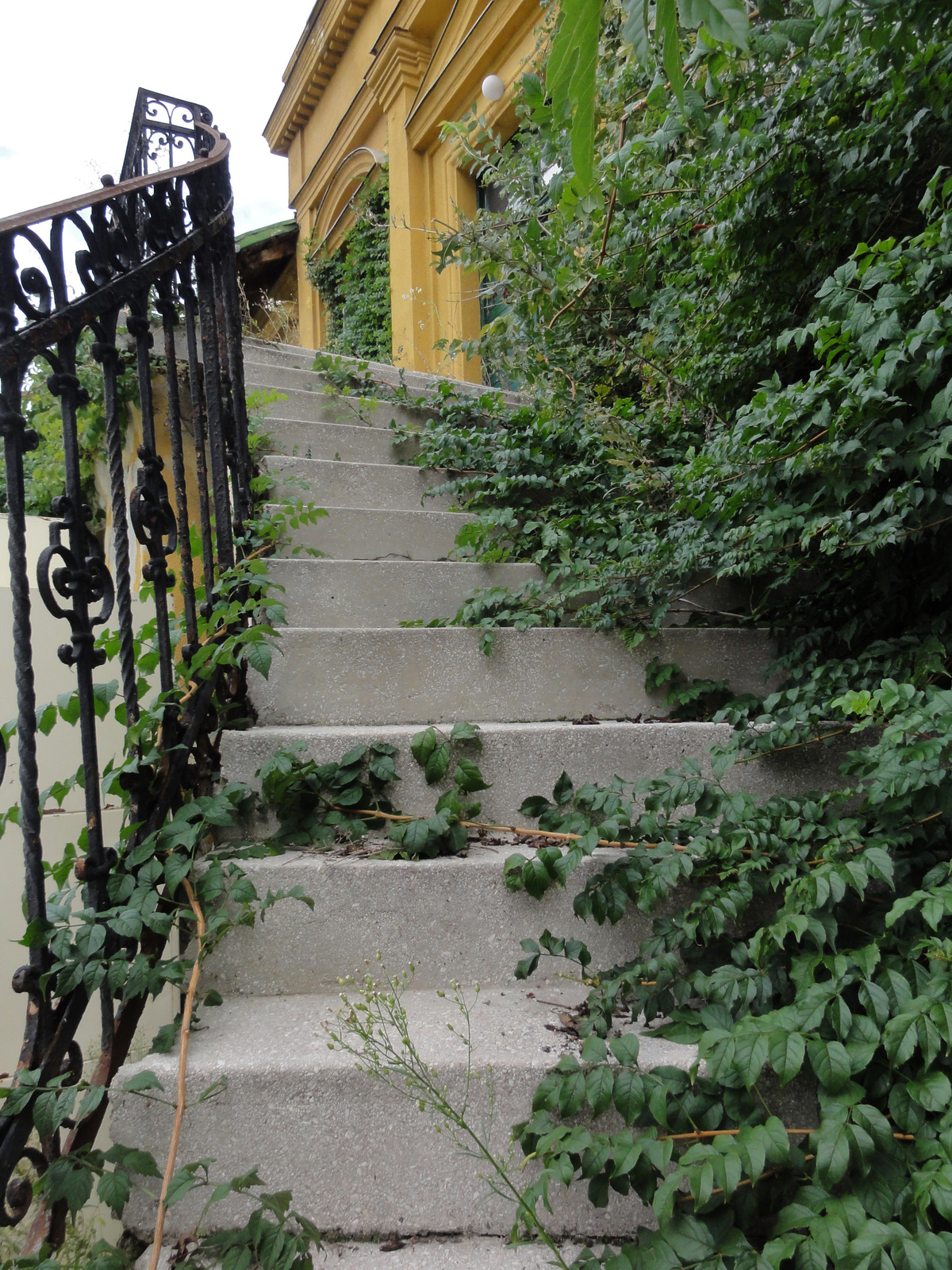 Organikus lépcsősor.