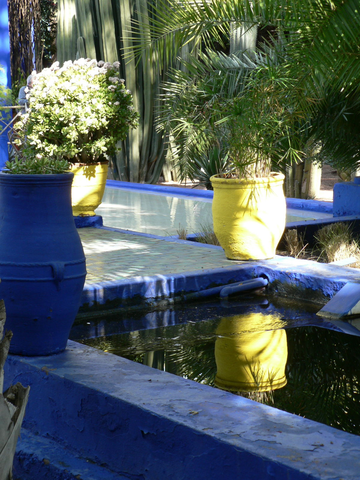 Jardin Majorelle