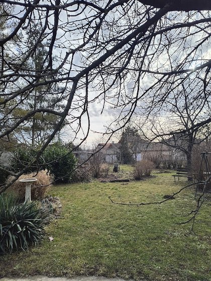 IMG 20250126 131438786 HDR