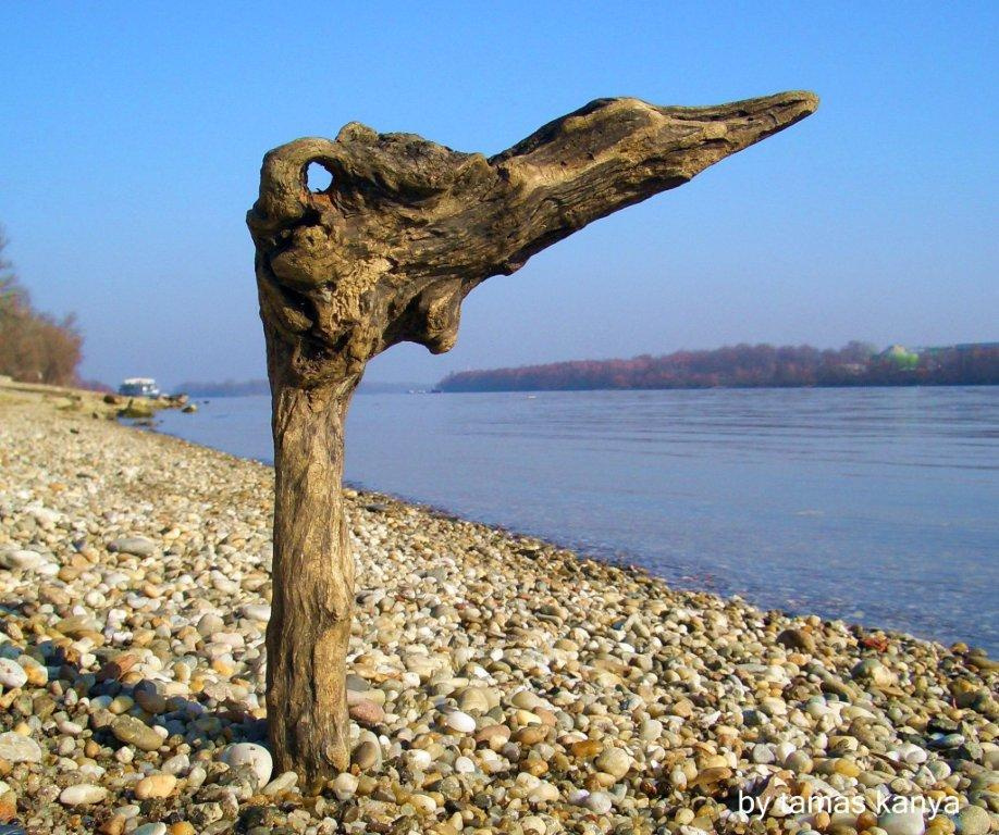 driftwood art in hungary