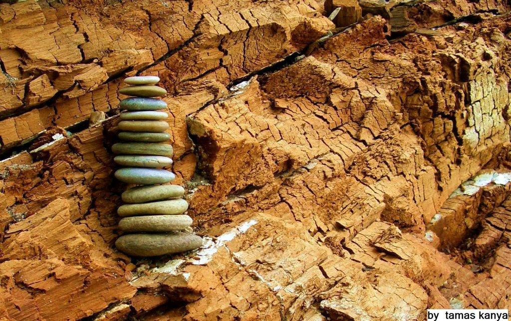 Stones and driftwood by tamas kanya