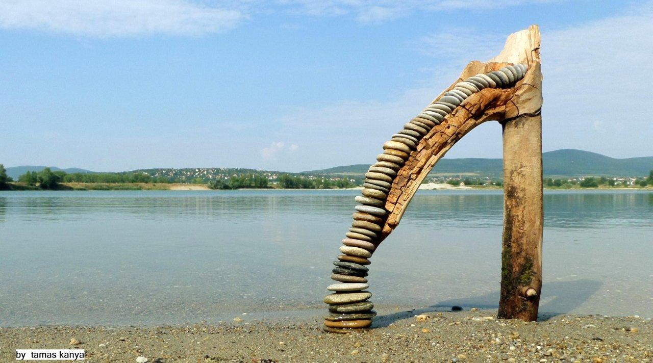 driftwood art in hungary by tamas kanya