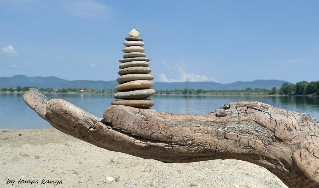 Driftwood hand and stone in hungary by tamas kanya