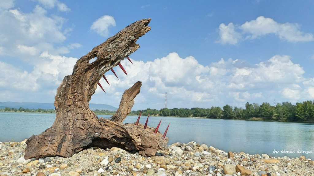 Bárányfelhő kergető farkas(driftwood art)