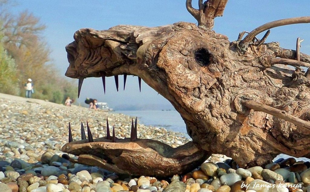 Driftwood art in Hungary by tamas kanya