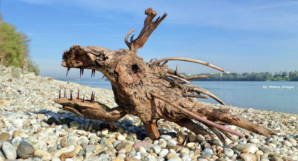 Driftwood art in Hungary by tamas kanya