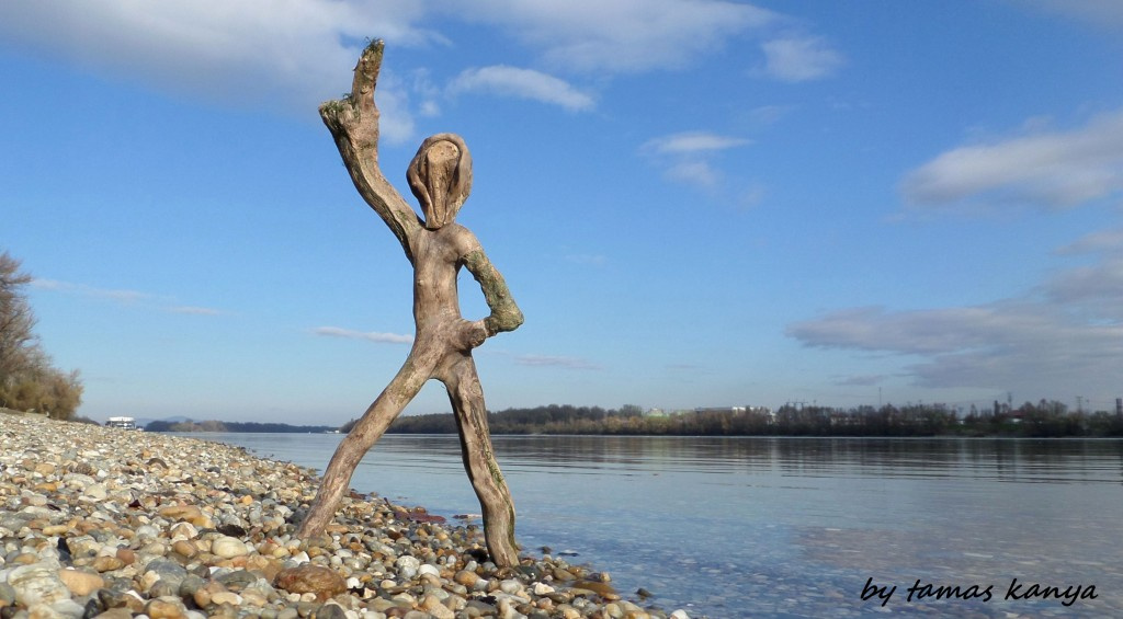 Driftwood disco dance in Hungary by tamas kanya