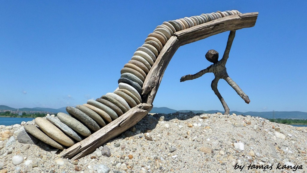 Driftwood art in Hungary by tamas kanya