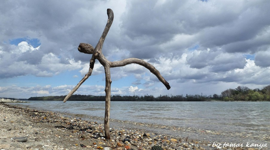 Driftwood art in Hungary by tamas kanya