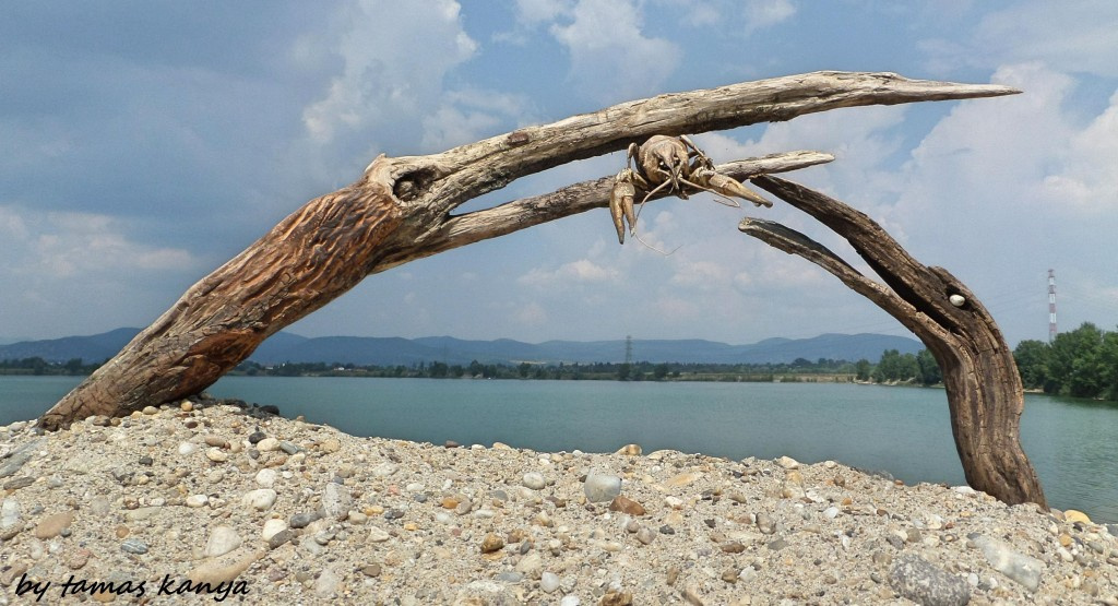 Land art from Hungary by tamas kanya