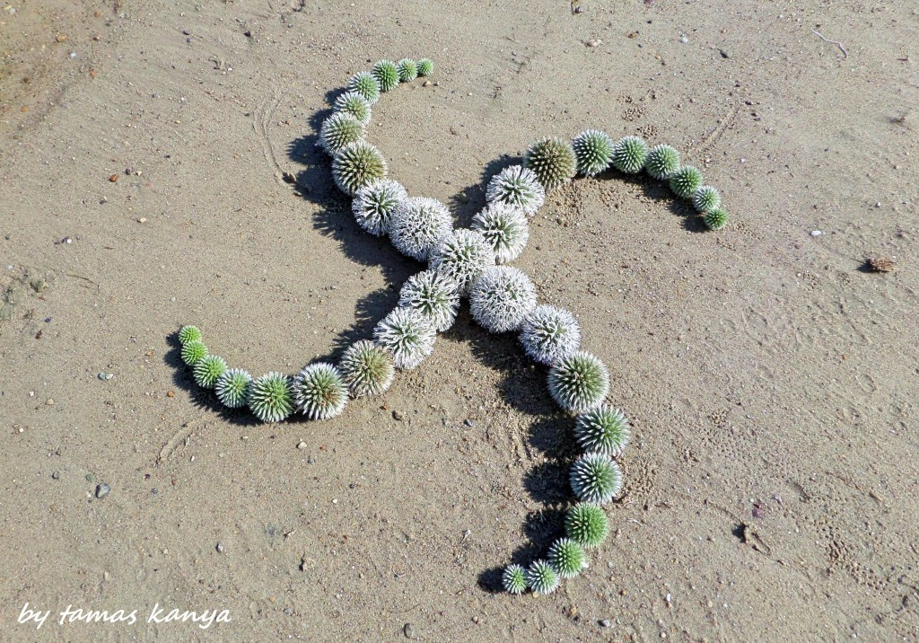 Land art from Hungary by tamas kanya