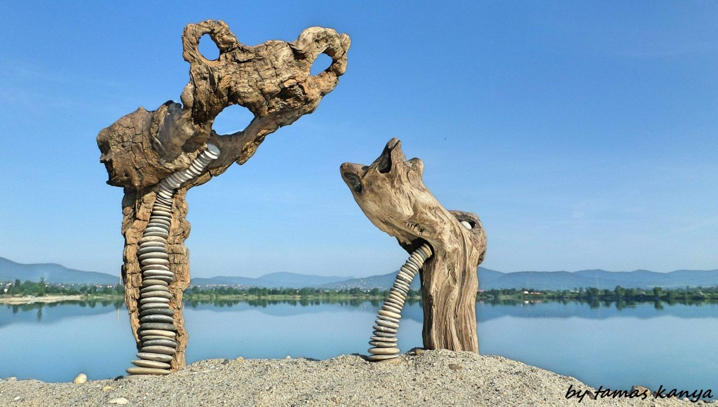 Driftwood and stone art from Hungary by tamas kanya