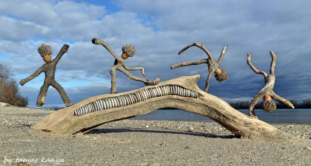 Driftwood art from Hungary by Tamas Kanya