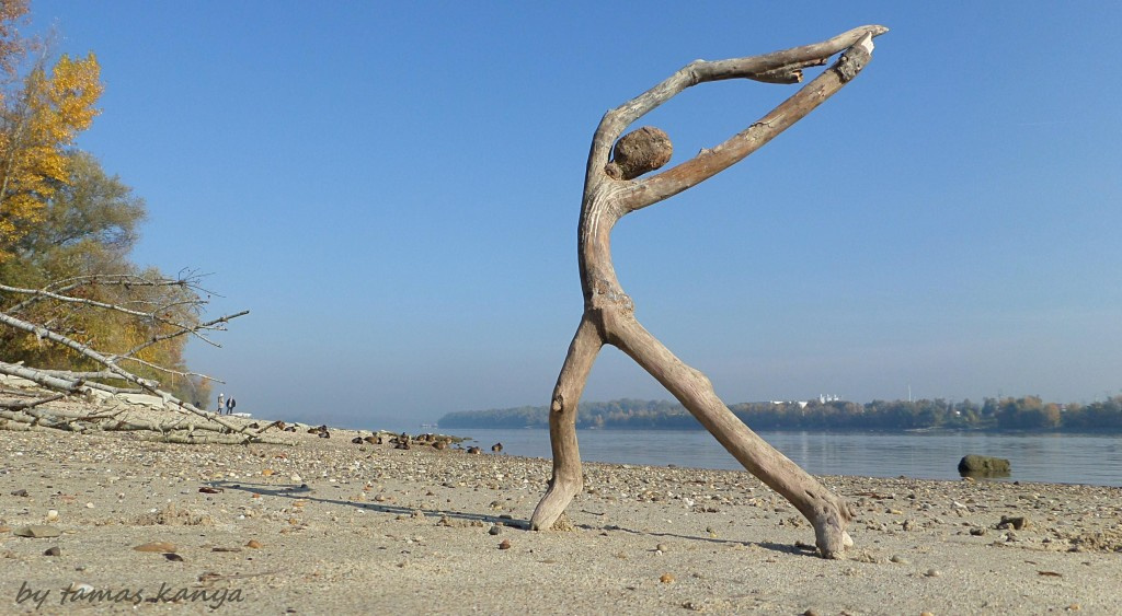 Driftwood art from Hungary byTamas Kanya