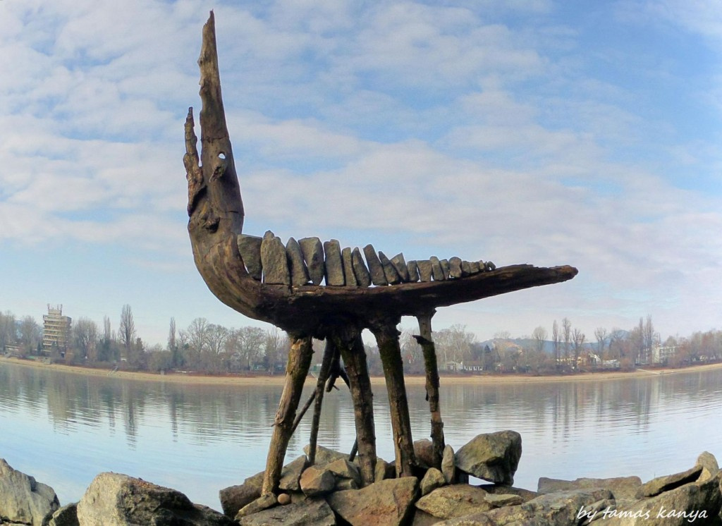 Driftwood art from Hungary by tamas kanya