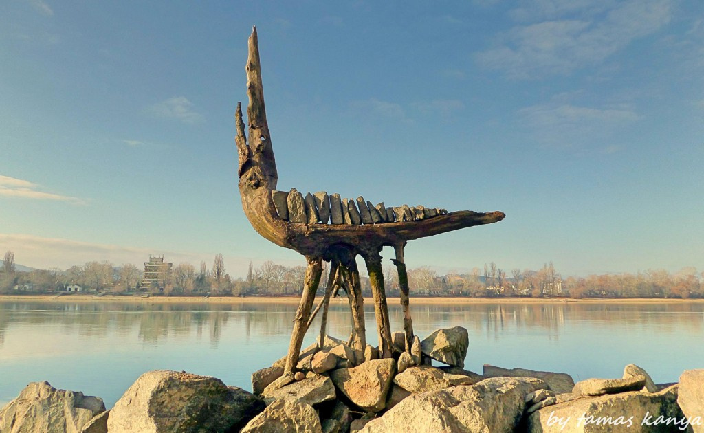 Driftwood art from Hungary by tamas kanya