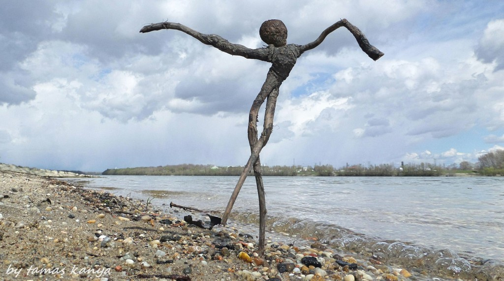 Driftwood art from Hungary by tamas kanya