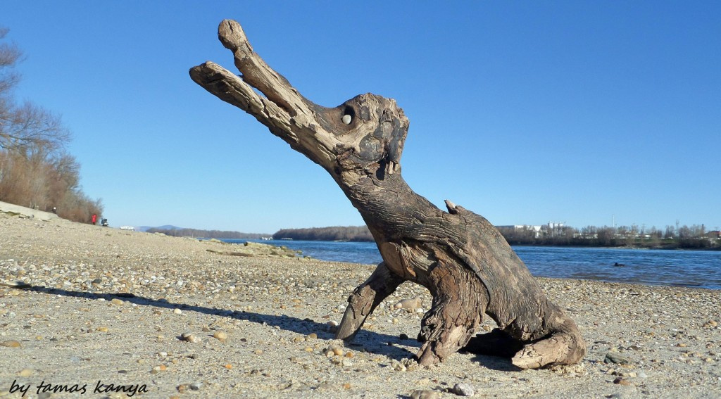 Driftwood art from Hungary by tamas kanya