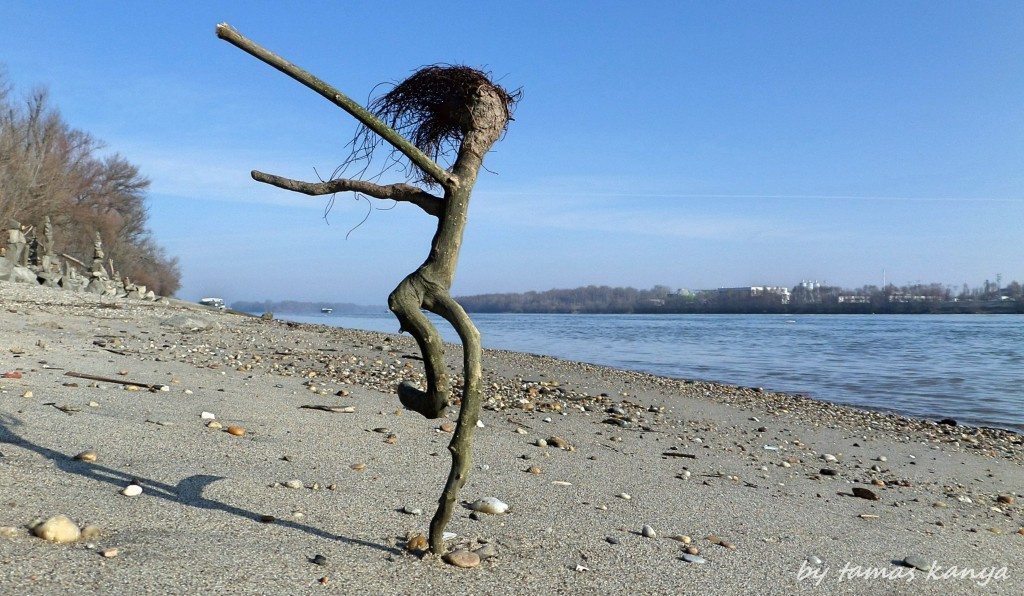 Driftwood art from Hungary by tamas kanya