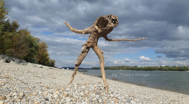 Driftwood art from Hungary by tamas kanya