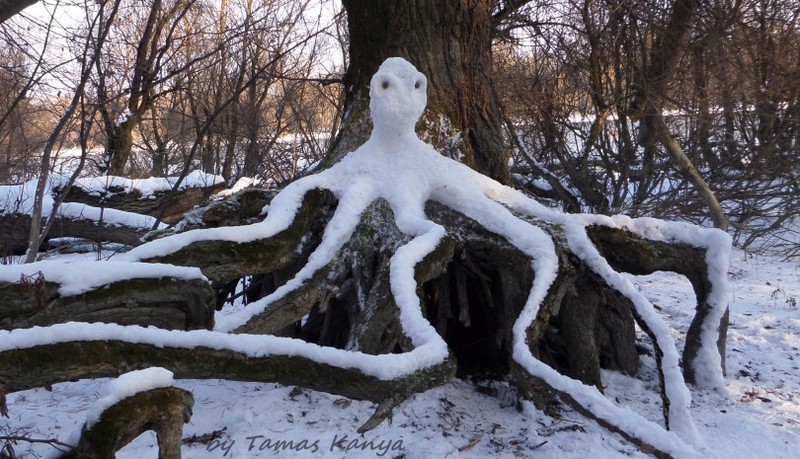 Snow art from Hungary by tamas kanya