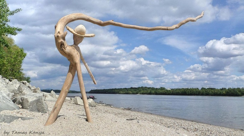 Driftwood art from Hungary by Tamas Kanya