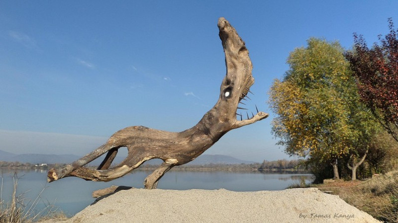 Driftwood art from Hungary by Tamas Kanya