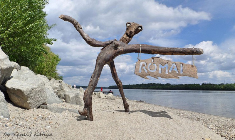 Driftwood art by tamas kanya