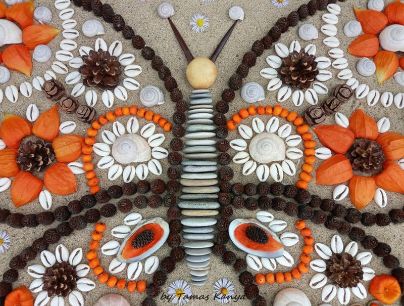Butterfly land art by tamas kanya