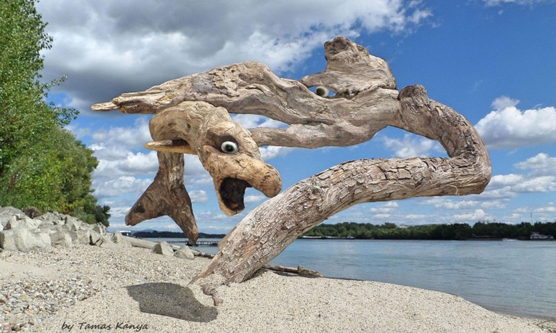 Driftwood art from Hungary by tamas kanya