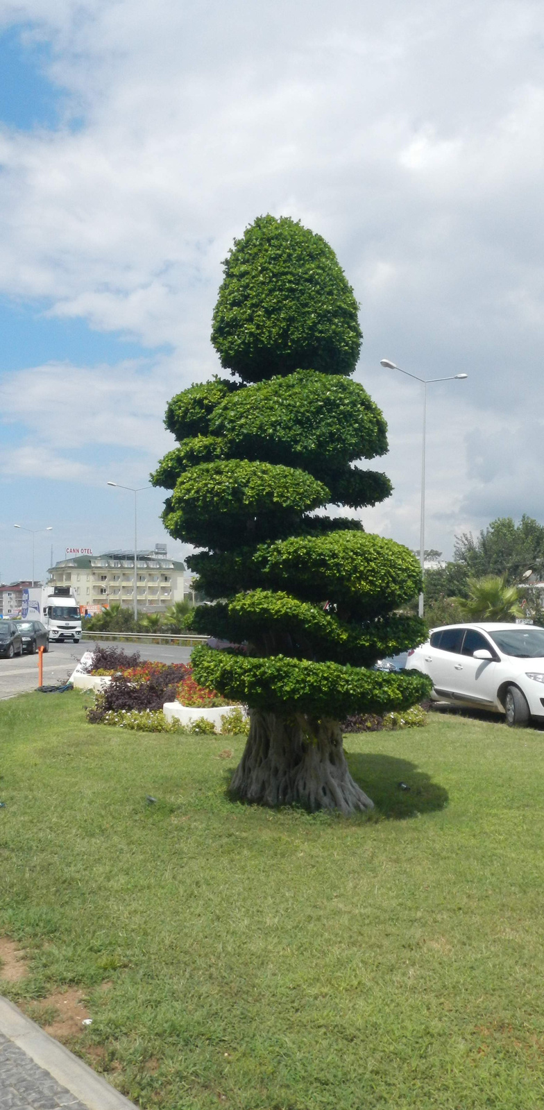Egy fa