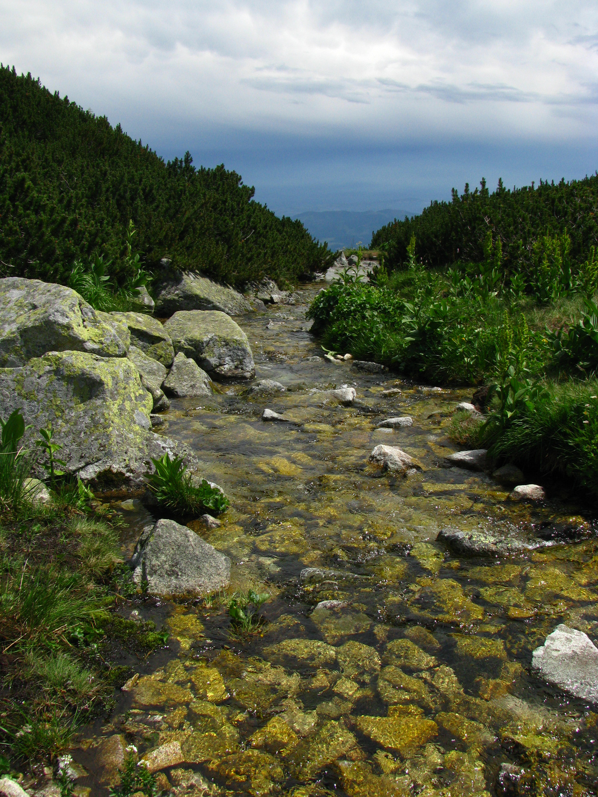 Furkotská Dolina