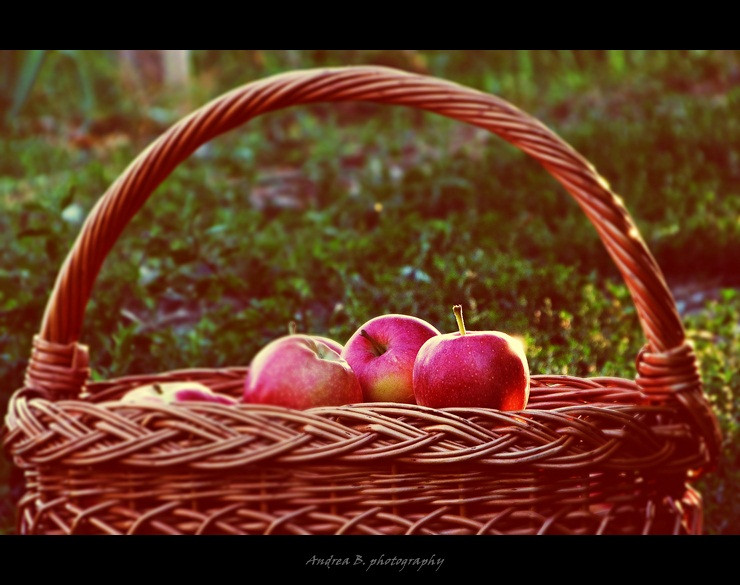 almák a kosárban
