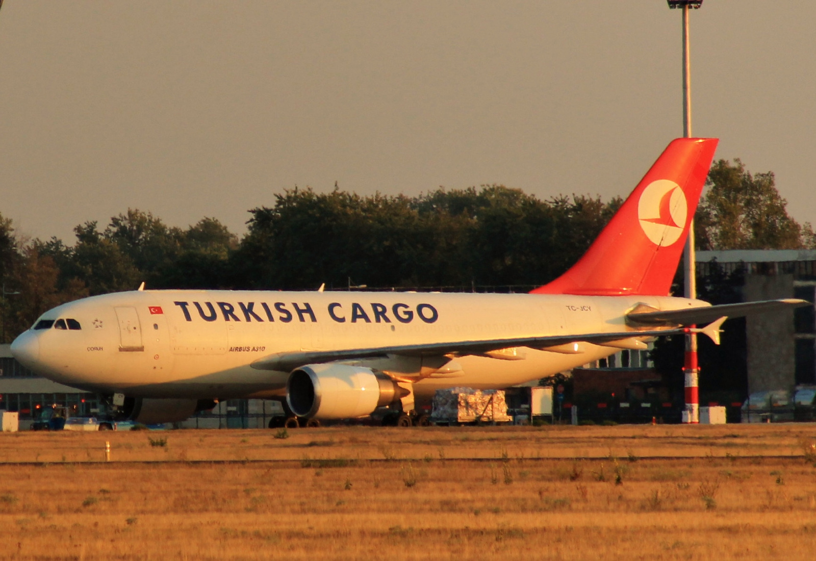 Turkish cargo A310-304