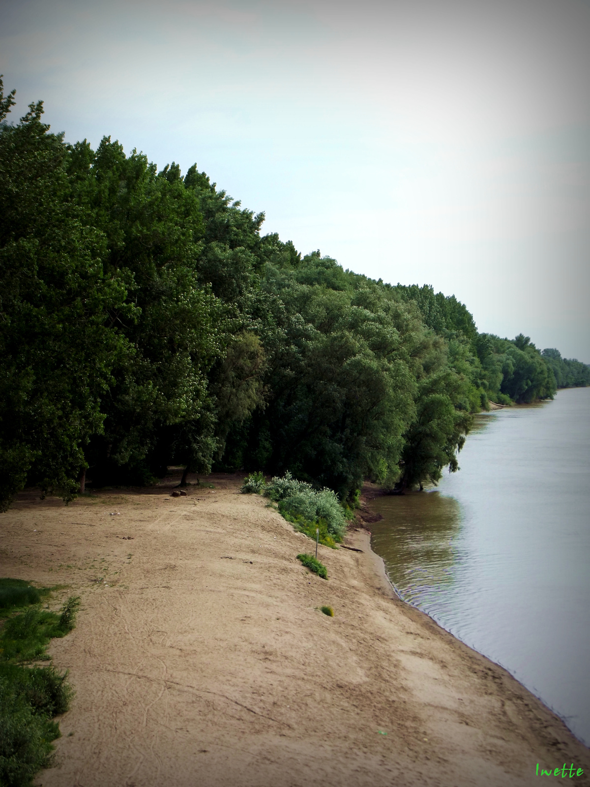 Újszeged, Tisza-part