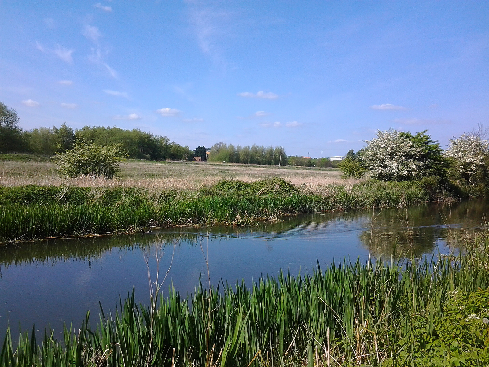 Grand Union Canal