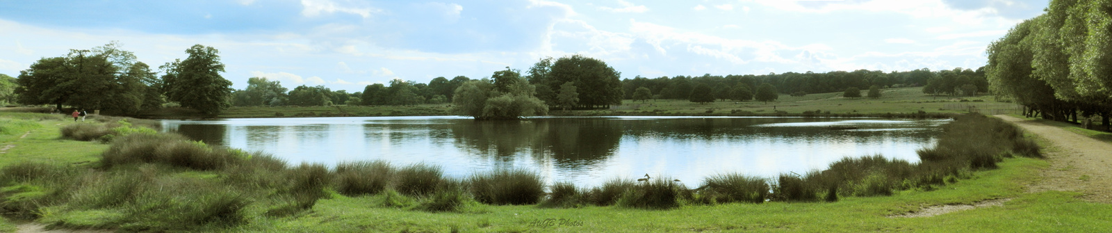 Richmond park tó-panoráma