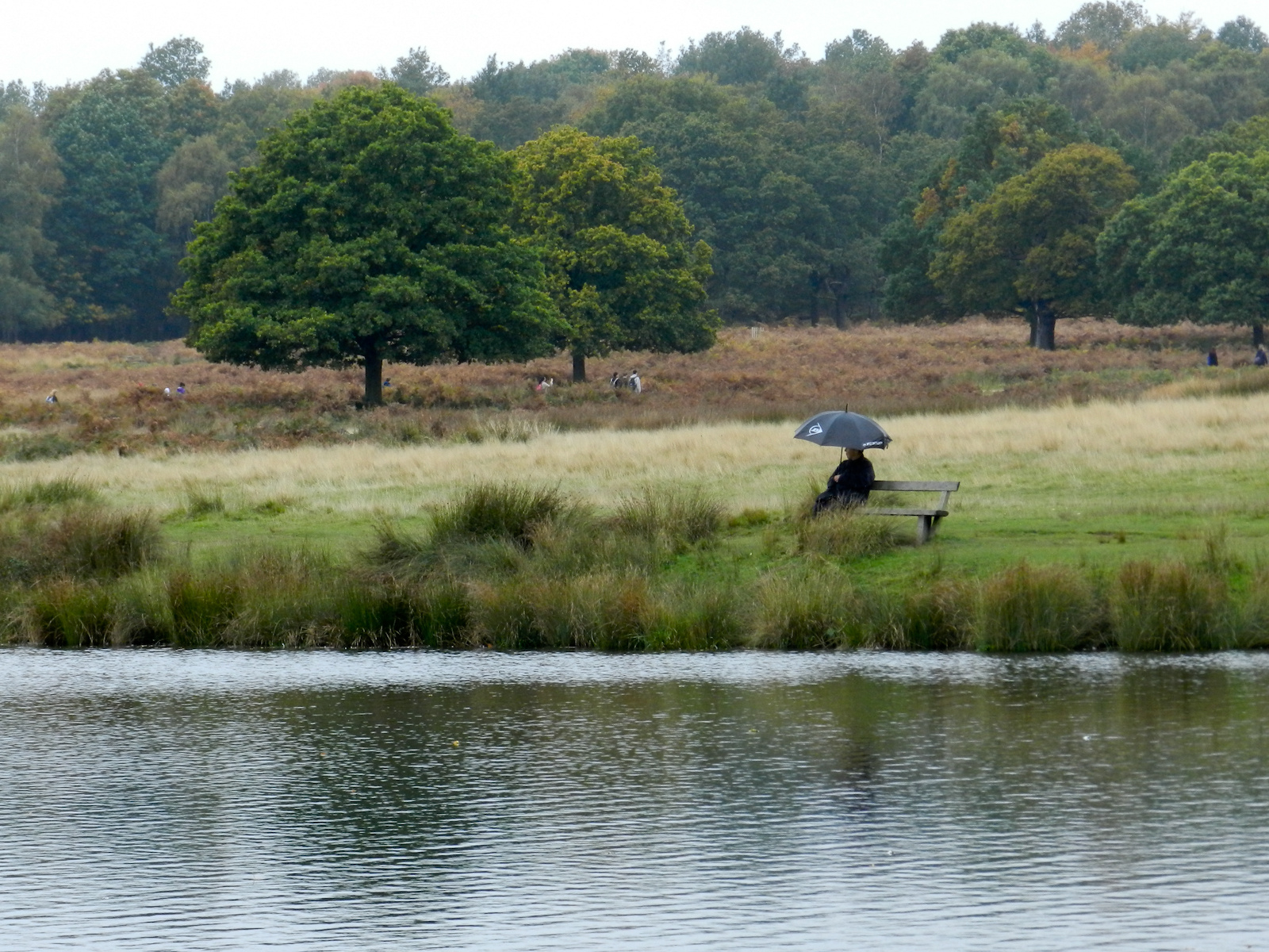 Kirándulás - Richmond park 20121021 152