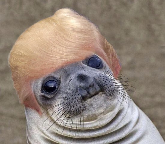 trumpseal2.png