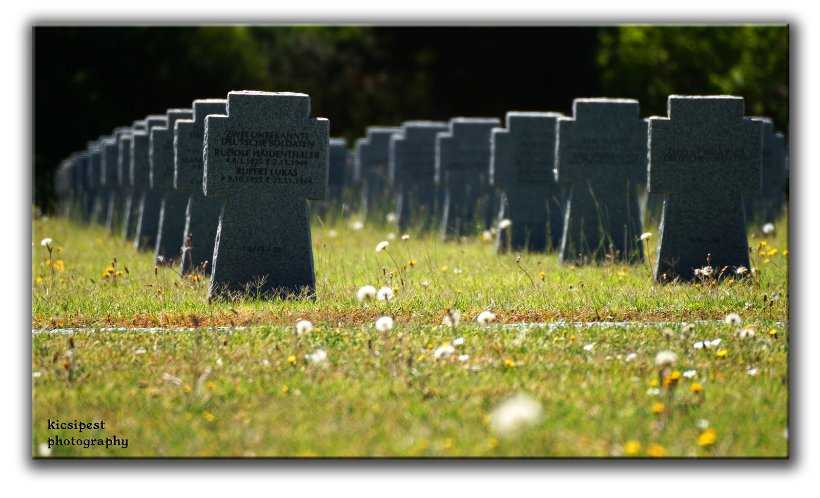 Katonai temető