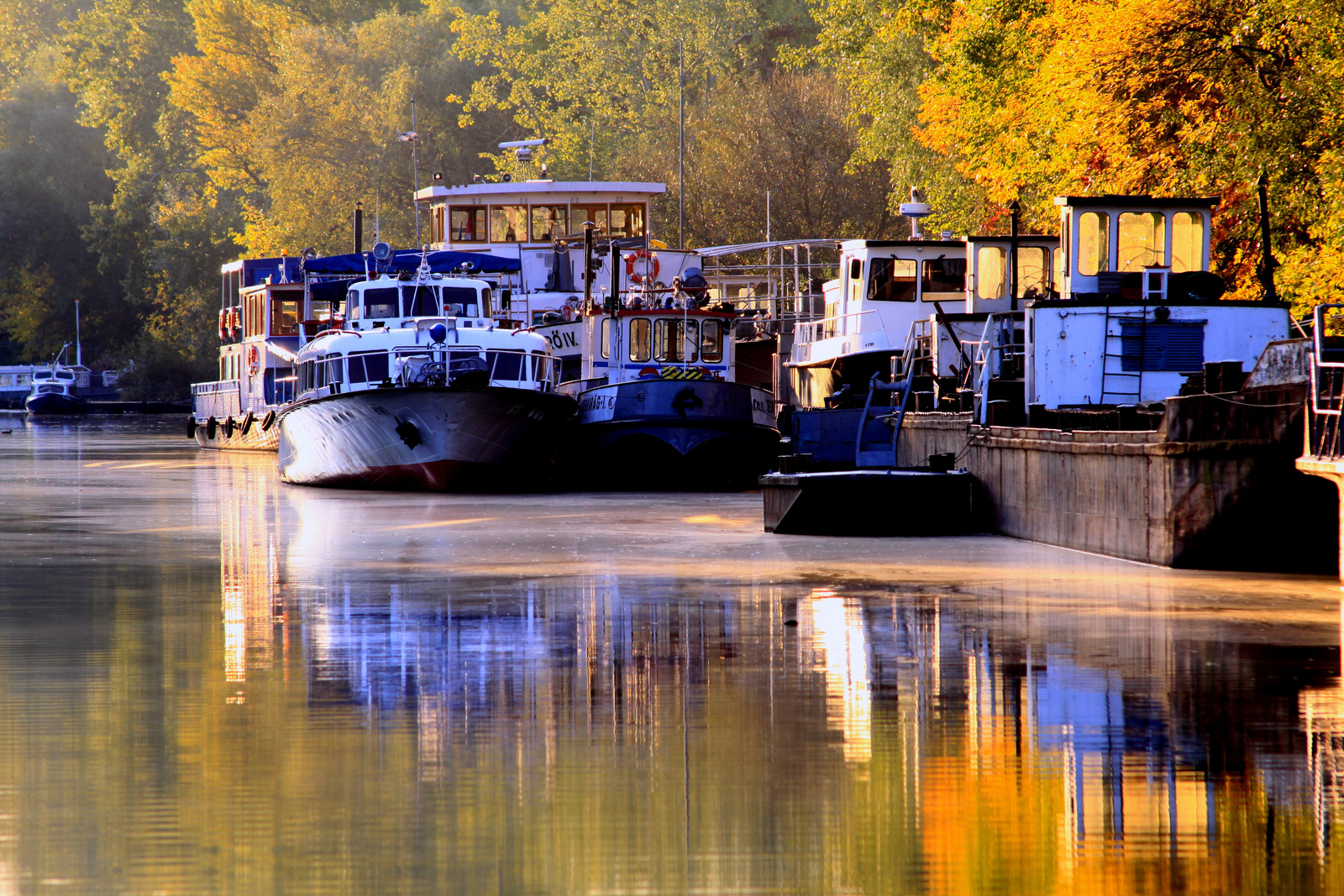 Autumn (Bodrog)