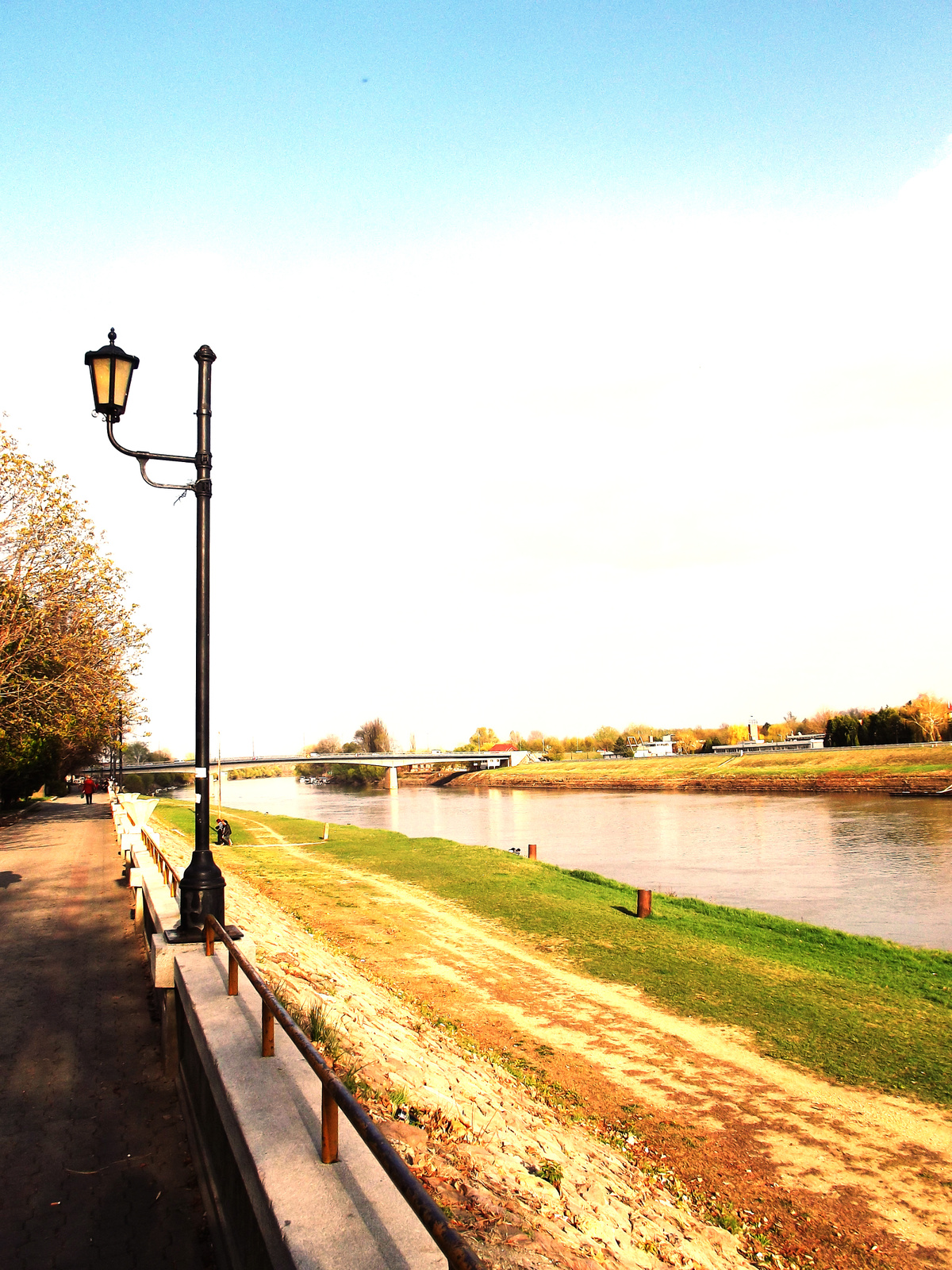 Tisza,és a hőn szeretett lámpa.