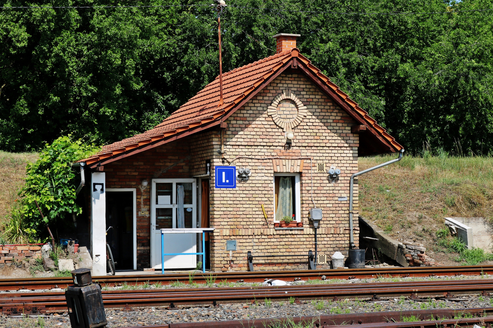 125 Szeged - Rókus