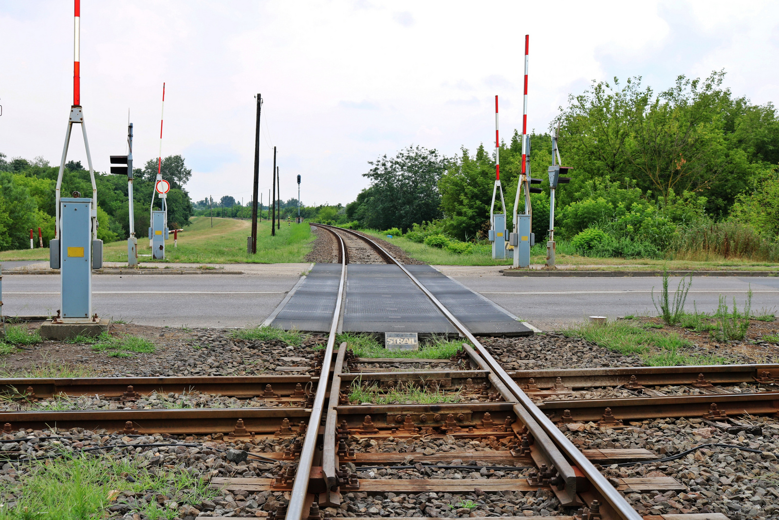 114c Szeged - Rókus