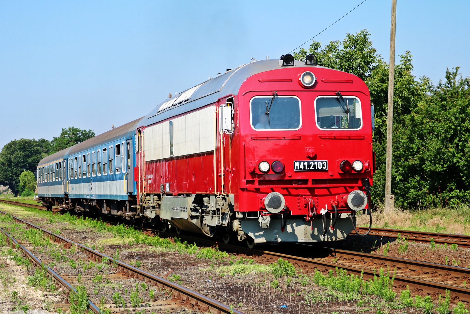 239d Csorvás