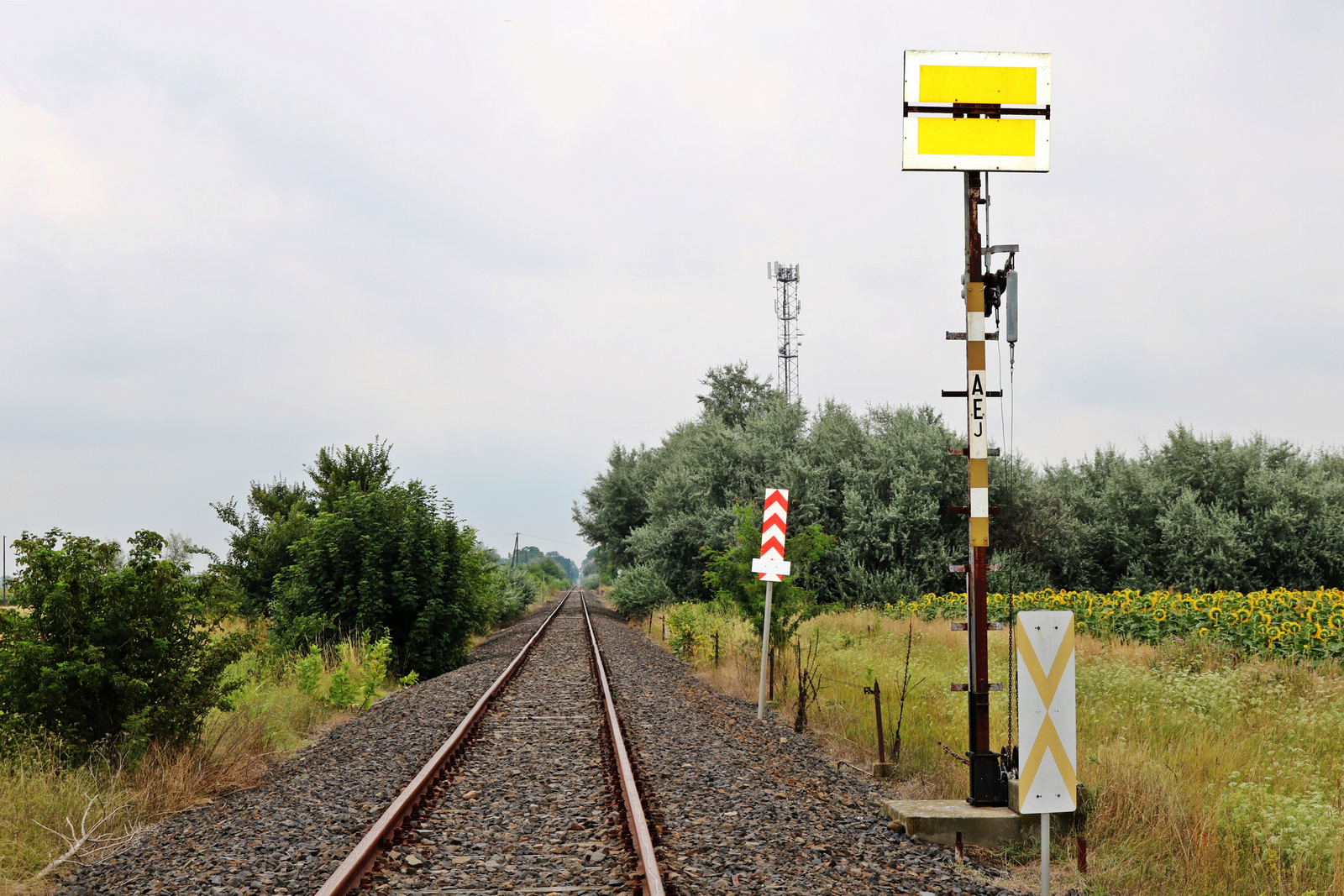 276a Röszke