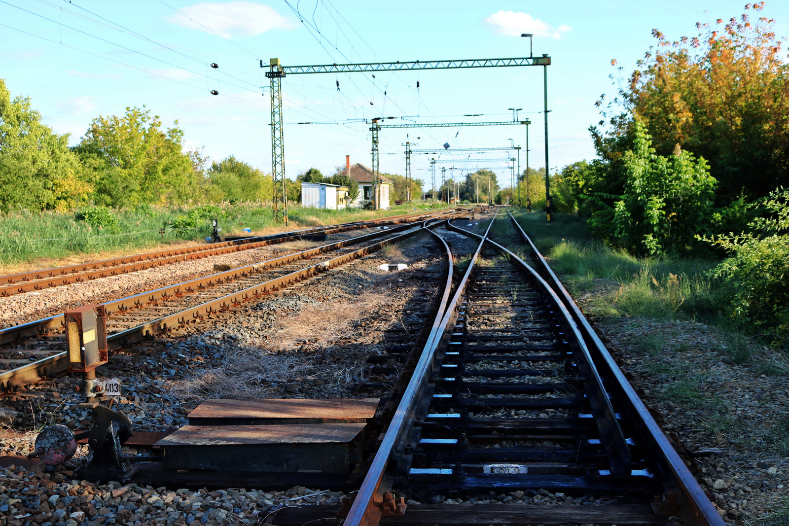 291 Szeged