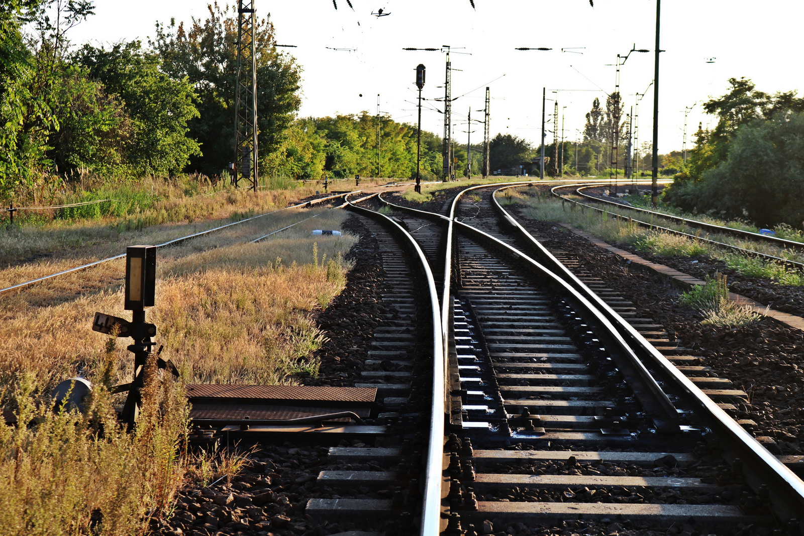299 Szeged - Rendező