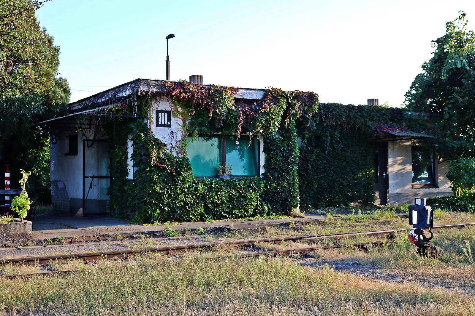 296 Szeged - Rendező