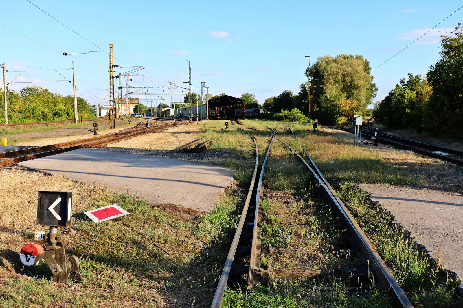 294 Szeged - rendező